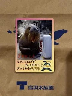 Item thumbnail for item f8f48ade-f455-463a-90ca-d51234e97394