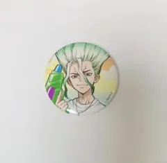 dr.stone アニメイトカフェ 缶バッジ① - メルカリ