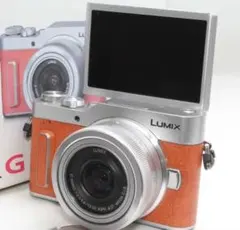 2025年最新】Lumix gf10の人気アイテム - メルカリ