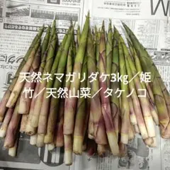 天然ネマガリダケ5㎏／姫竹／天然山菜／タケノコ - メルカリ