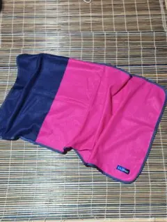 Item thumbnail for item 6e65eb50-5e16-487c-9088-174acbef113f