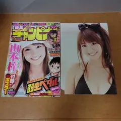 2026年最新】山本梓 ポスターの人気アイテム - メルカリ