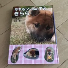 ゆれるしつぽの子犬・きらら