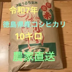 9/12,13発送!令和7年度 長野県産コシヒカリ 10kg 発送前精米 - メルカリ
