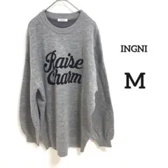 美品❣️【INGNI】オーバーサイズ　セーター　グレー　size:M 冬