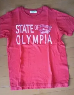 Tシャツ　バックナンバー　ライトオン