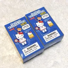 【新品•未開封】ハローキティ展 シークレットマスコットチャームB 2箱