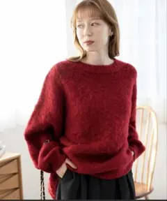 WEGO/モヘアライクBIGプルオーバー