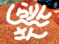 ガーデニング用 鮮やかなオレンジ色の砂利 庭石　瓦チップのサムネイル