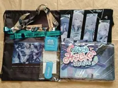 新品未使用】郷ひろみ 武道館プレミアムシート特典グッズセット 銀