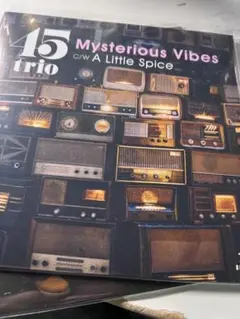 2026年最新】mysterious vibesの人気アイテム - メルカリ