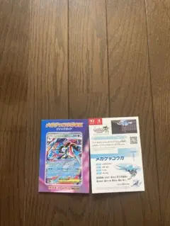 メガゲッコウガexクイックガイド　2部