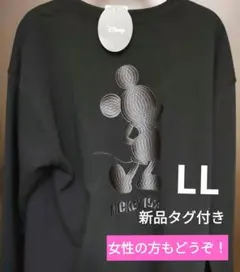 Item thumbnail for item 3eecf742-e4f0-45ad-b807-d79d66cc40e5