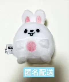 【新品未開封】リノ スンドゥンドリ ぬいぐるみ 2026年最新】straykids ぬいぐるみ リノの人気アイテム - メルカリ