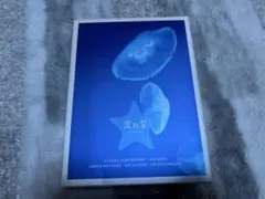 優勝記念 関係者向 非売品 長嶋茂雄 記念グッズ 1996年 - メルカリ