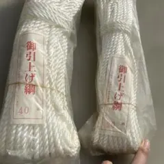 Item thumbnail for item f65105fd-7aca-49ae-ae59-3195ffe97800