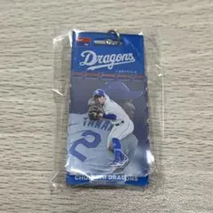 Item thumbnail for item 9fb364d2-9459-4db5-9806-cdff684c57fa