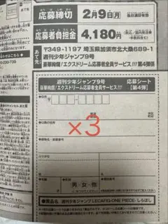 ジャンプ 応募者全員サービス応募券3枚　レカフィグ しらほしフィギュア
