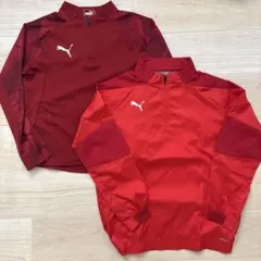 プーマ ピステ ジャージ 150