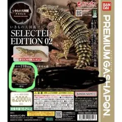 アルマジロトカゲ(新色) プレミアムガシャポンのサムネイル