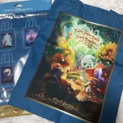 東京ディズニーシー　ファンタジースプリングス　トートバッグ　ティンカーベル