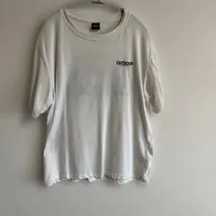 Item thumbnail for item 3e6a8c69-246e-4422-9cfe-2cce535a216b