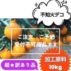 【ꕤ600】不知火デコ【超★訳あり品☆加工原料】10kg 熊本みかん