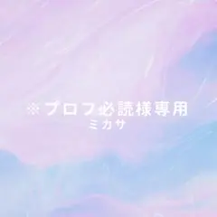 ※プロフ必読様専用
