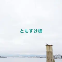 ともすけ様 リクエスト 2点 まとめ商品