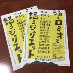 桐山照史　フライヤーセット