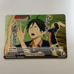 山口忠 ハイキュー バボカ トレカ