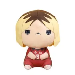 ハイキュー!! もちぴこBIGぬいぐるみ② 孤爪研磨 ※複数在庫有