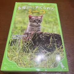 多摩川にすてられたミーコ