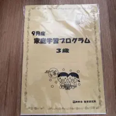 2026年最新】伸芽会 家庭学習プログラムの人気アイテム - メルカリ