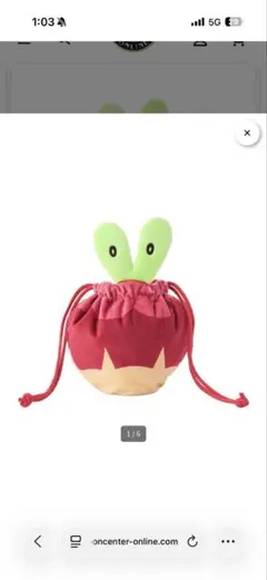 ポケモンセンター カジッチュ ぬいぐるみ 巾着