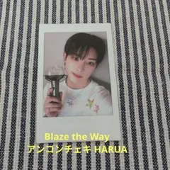 &TEAM BLAZE THE WAY アンコン チェキ HARUA