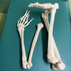 Item thumbnail for item 513c0f0f-7a07-46e1-a07f-374d7fe9788c