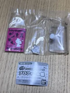 サンリオキャラクターズ プロフィール帳 チャーミーキティ 未開封