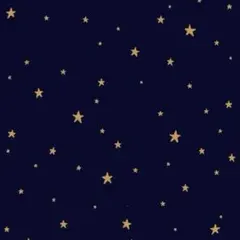 【もも様専用ページ】