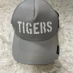 Item thumbnail for item 5cd9eecf-d08e-4de4-a558-ef39f7d2d74a