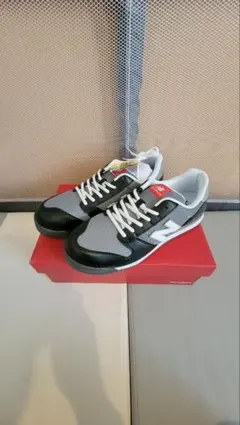 Item thumbnail for item 3097b6a2-6383-47d2-9277-064e91da27b2