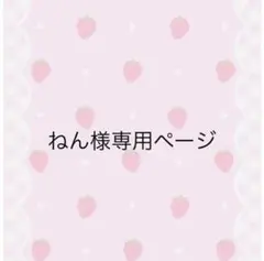 ネイルチップ ねん様専用