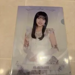 乃木坂46 海邉朱莉 クリアファイル 14thバスラ - メルカリ