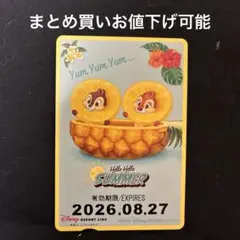 ディズニーリゾートライン使用済みフリーきっぷ