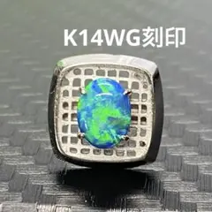 2025年最新】K14wg ネクタイピンの人気アイテム - メルカリ