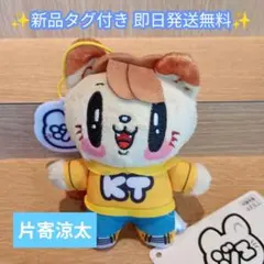 【新品タグ付き】ジェ猫 マスコット 片寄涼太 即日発送