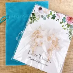 Item thumbnail for item 2d12312d-bfd2-492f-bdf3-7ca5ef7ffb23