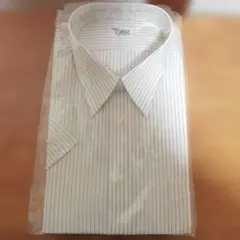 Item thumbnail for item 14464bb9-627f-426a-b22a-22c608f4cd36