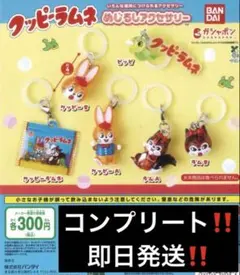 新品 クッピーラムネ めじるしアクセサリー ガチャ 全6種セット　コンプリート