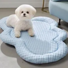 Item thumbnail for item 30bb5682-a427-4fd3-a25c-59c82e76b106